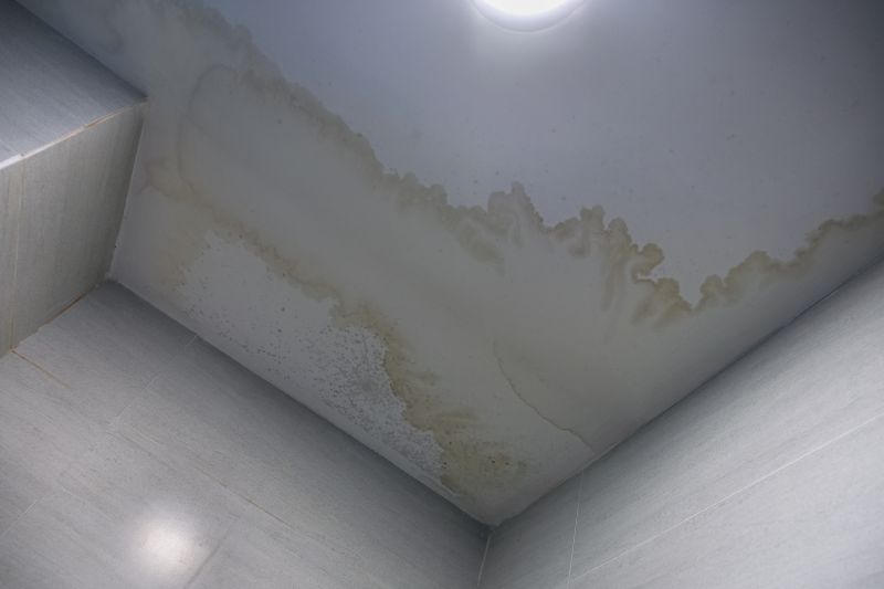 Ceiling Repair Service in Kansas City, KS
