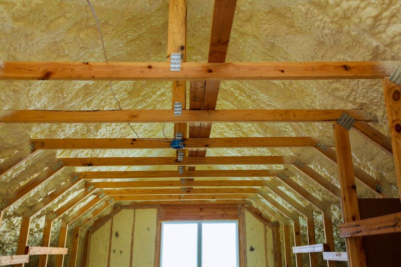 Interior Insulation Service in Georgetown, TX